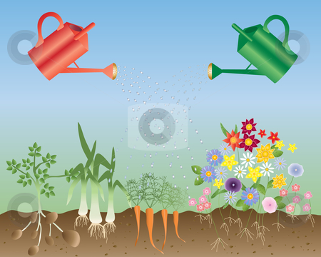 Flowers And Vegetables Stock Vector Clipart An Illustration Of Two