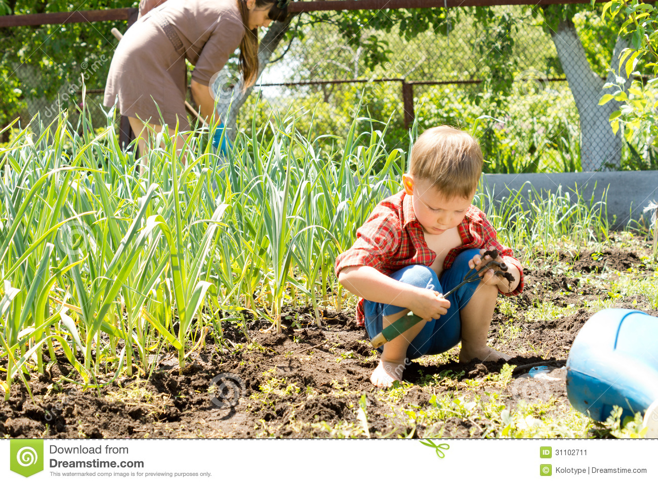 Little Boy Playing In A Vegetable Garden Stock Image   Image  31102711
