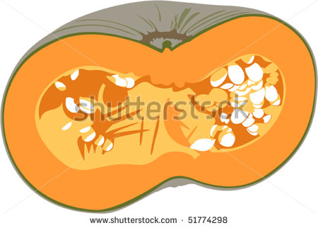 Pumpkin Half Isolated On White Stock Vector Illustration 51774298