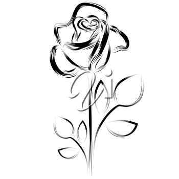 This Simple Drawing Of A Single Rose  Clipart Image Can Be Licensed    