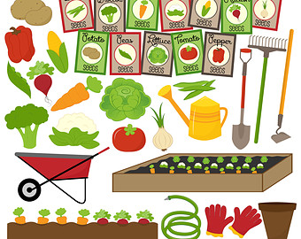 Vegetable Garden Rows Clip Art Vegetable Garden   Veggie