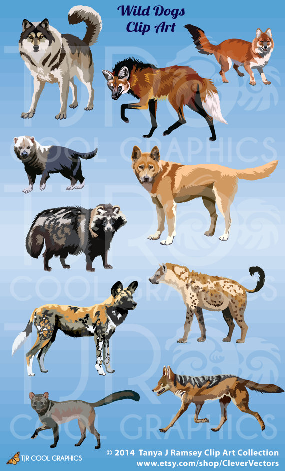 Wild Dogs Clip Art By Clevervectors On Etsy