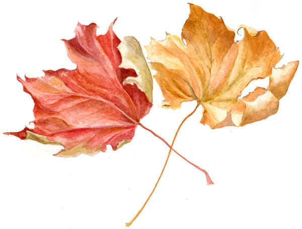 Autumn Leaves Religious Clipart Harvest Day Pictures