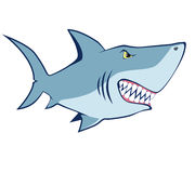 Cartoon Shark  Vector Illustration Stock Image