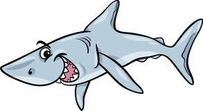 Cartoon Shark  Vector Illustration Stock Image   Image  33081571