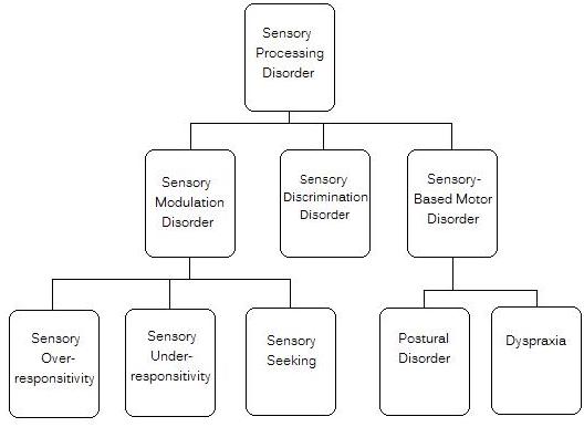 Sensory Processing Disorder  Spd    Sensory Integration Dysfunction