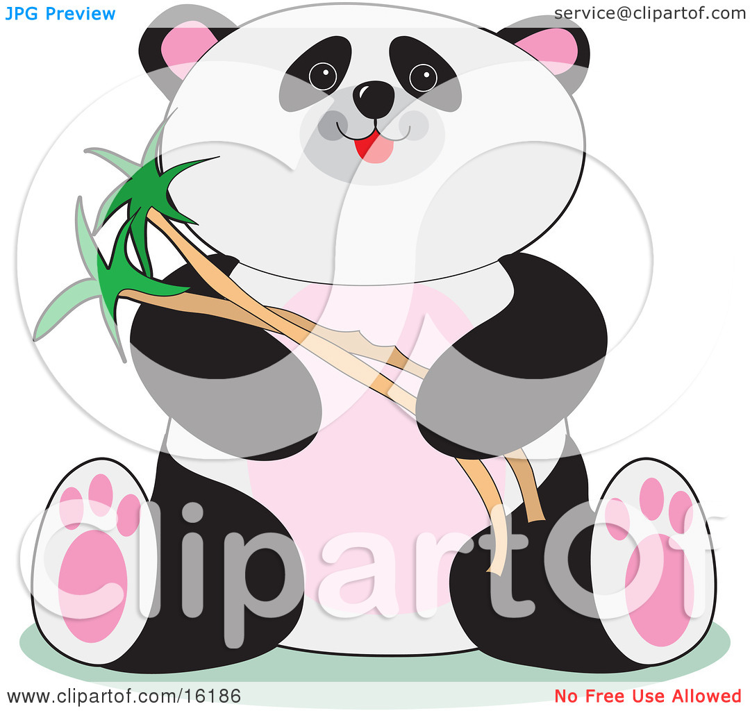 Cute Chubby Panda Sitting And Holding Bamboo Stalks Clipart