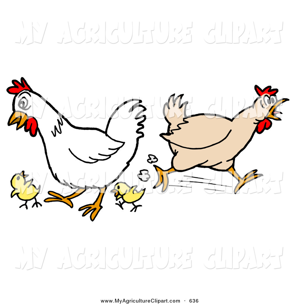 Vector Agriculture Clipart Of A Rooster And Chicken Running Around    