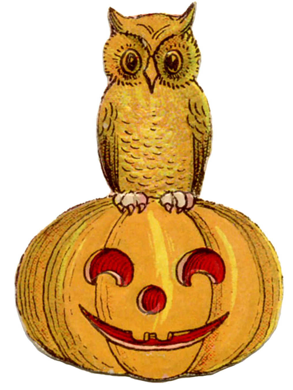 Vintage Halloween Clip Art   Cute Owl On Pumpkin   The Graphics Fairy