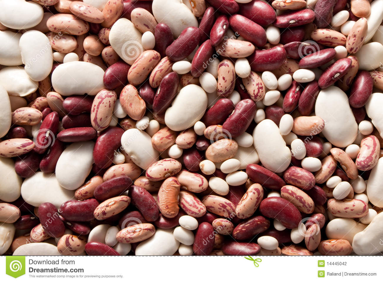 Mixed Beans 2 Stock Photography   Image  14445042