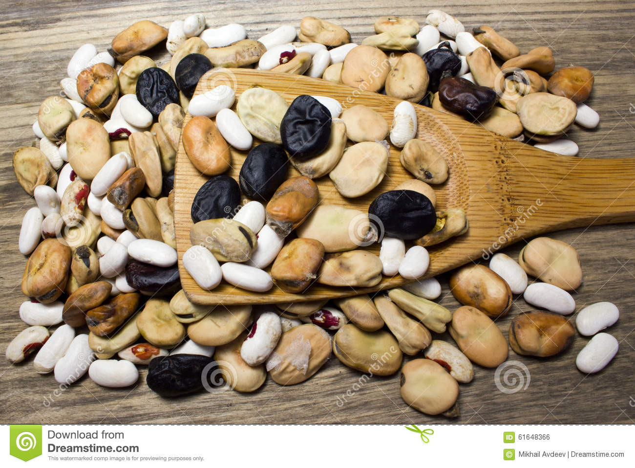 Mixed Beans With Wooden Spoon 
