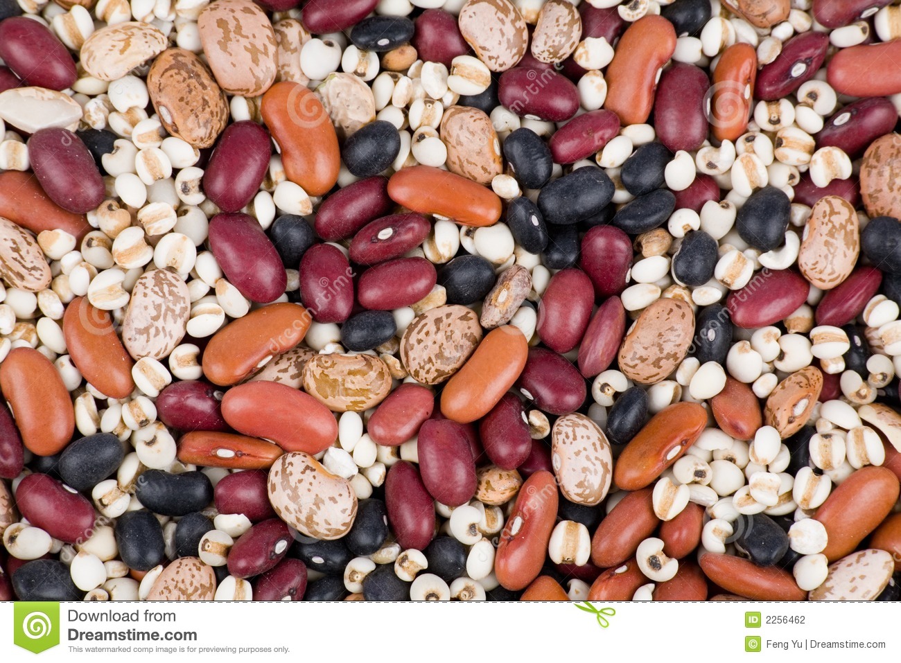Mixed Dried Beans Stock Photography   Image  2256462