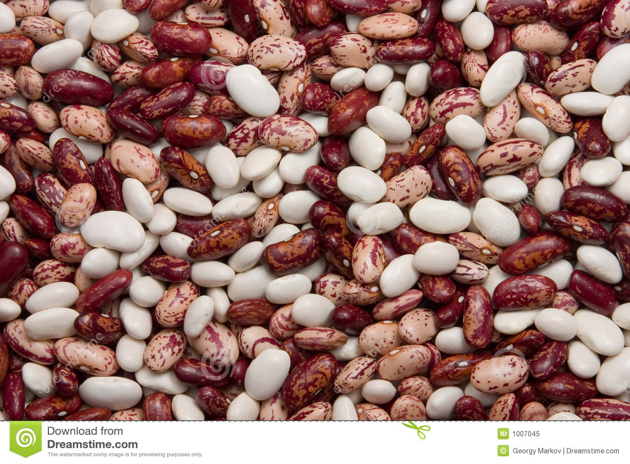 Mixed Kidney Beans Royalty Free Stock Photo   Image  1007045