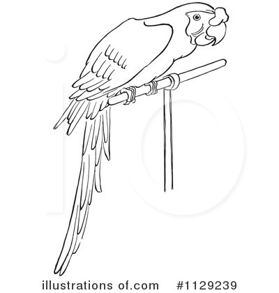 Parrot Clipart  1129239   Illustration By Picsburg