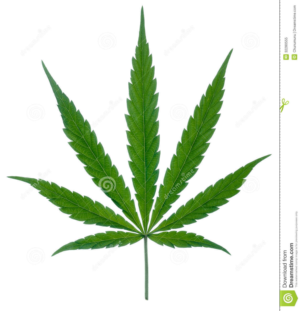 Royalty Free Stock Photo  Marijuana Leaf With Stipe  Image  32280555