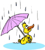Yellow Duck With Umbrella   Flickr   Photo Sharing