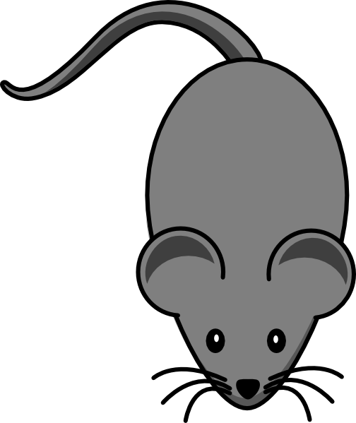 Dark Grey Lab Mouse Clip Art At Clker Com   Vector Clip Art Online