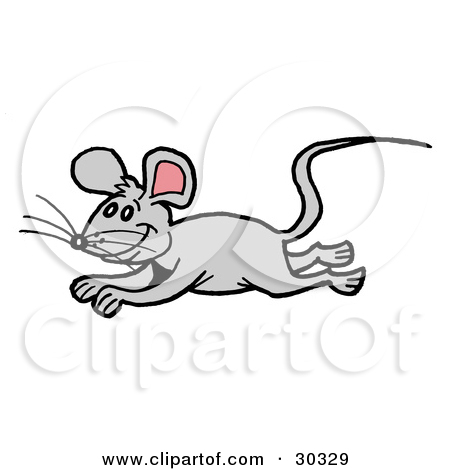 Gray Mouse Running And Leaping By Lafftoon
