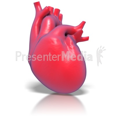 Human Heart   Medical And Health   Great Clipart For Presentations