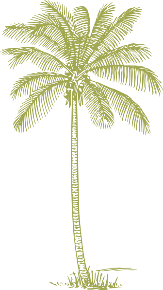 Palm Tree Silhouette Yellow Green Clip Art At Clker Com   Vector Clip    