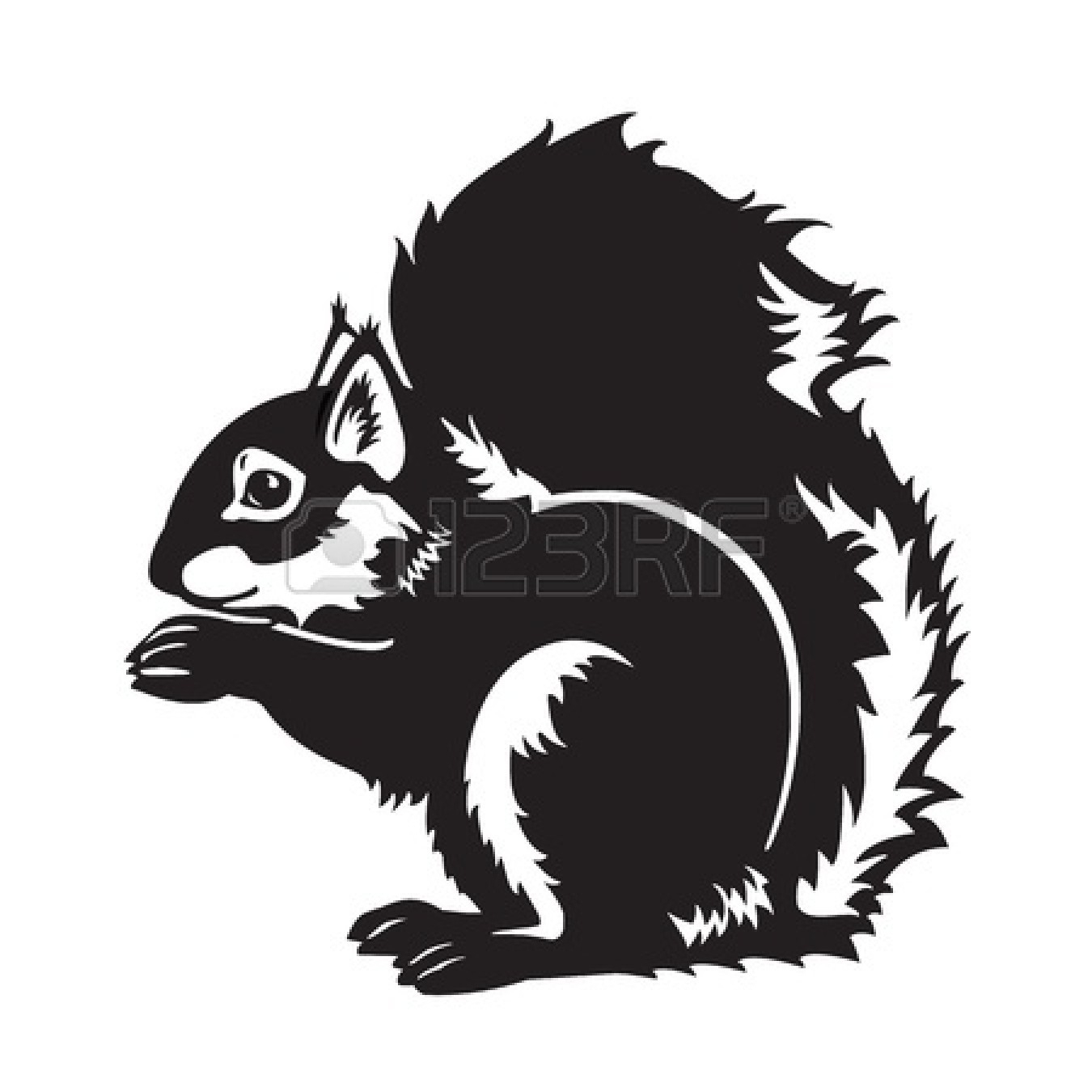 Squirrel Black And White   Clipart Panda   Free Clipart Images
