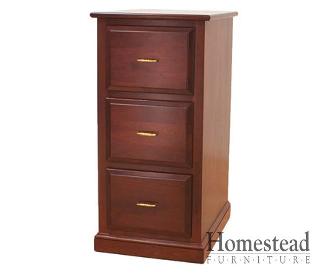 Drawer File Cabinet Find A Vertical File Cabinet With 2 5 Drawers    