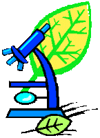 Science Club Clipart Gif