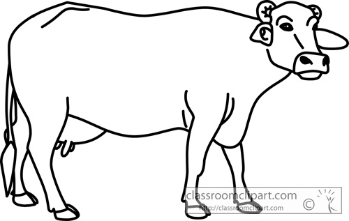 Animals   Buffalo Female Outline 630   Classroom Clipart