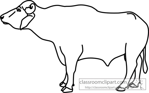 Animals   Buffalo Male Outline   Classroom Clipart