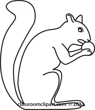 Animals   Squirrels Eating Nut Bw Outline   Classroom Clipart