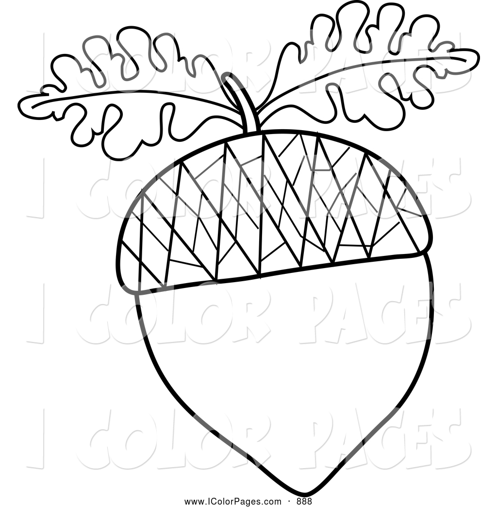 Black And White Acorn Outline With Oak Leaves On White Black And White    