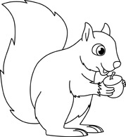 Squirrel Holding Acorn Nut Black White Outline 914