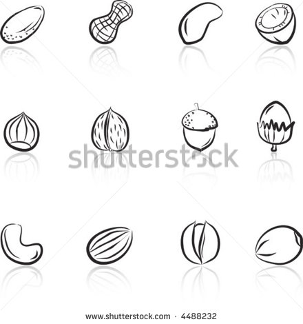 Various Nuts Black   White Stock Vector Illustration 4488232