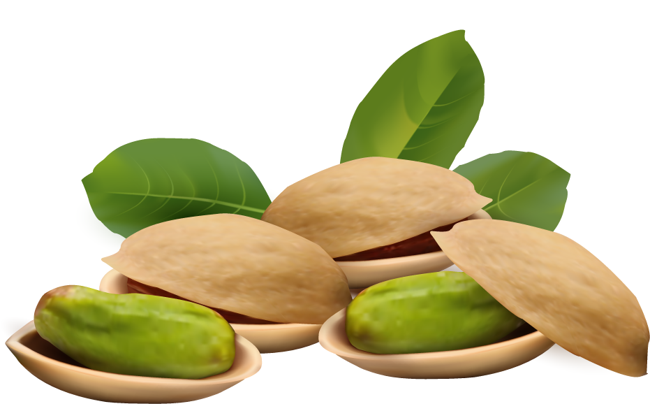 Clip Art Of Pistachio Nuts