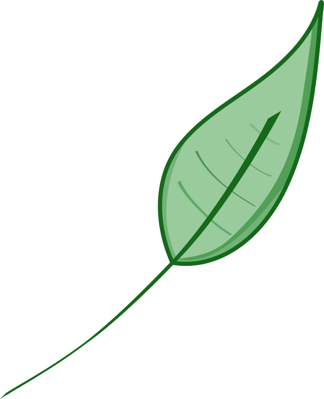 Green Leaf By Laobc   A Simple Green Leaf  Uma Folha Verde Simples