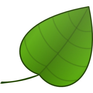 Green Leaf Clipart   Clipart Panda   Free Clipart Images