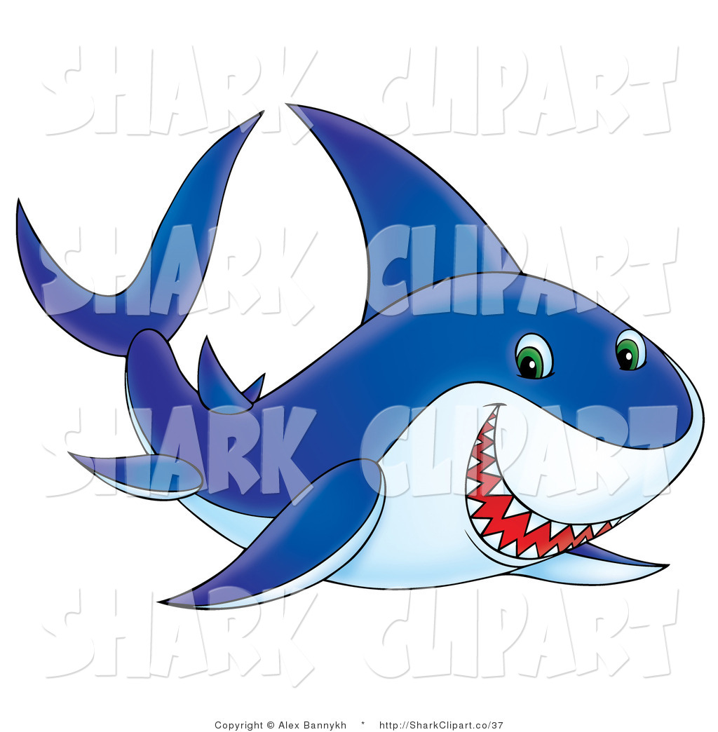 Related To Shark Clipart Shark Graphics Shark Photographs And Shark