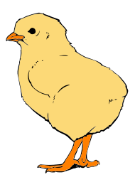 Chick Clipart Chick2 Png