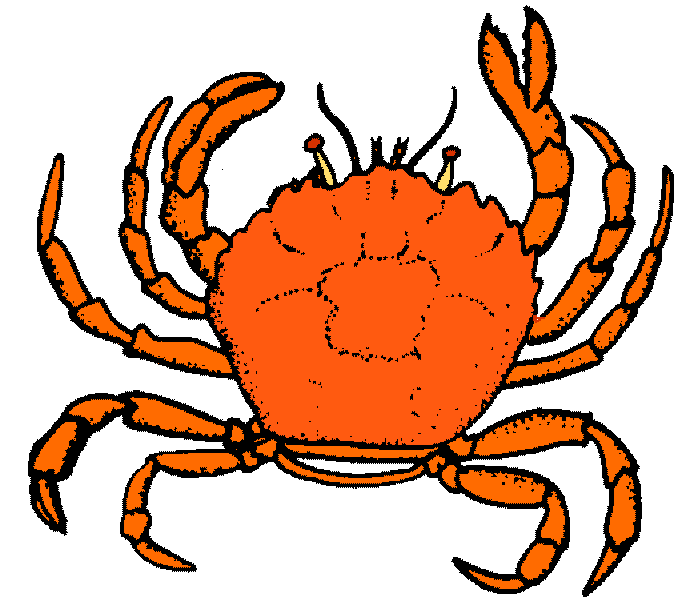 Crab Clipart   Item 4   Vector Magz   Free Download Vector Graphics