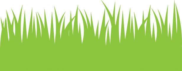 Green Grass Clipart Free Stock Photo   Public Domain Pictures