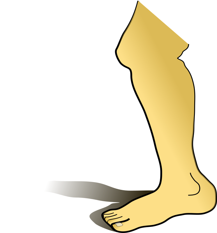 Leg By Biswajyotim   A Naked Leg