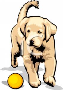 Back   Gallery For   Yellow Lab Clip Art