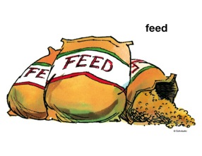 Bags Of Farm Animal Feed