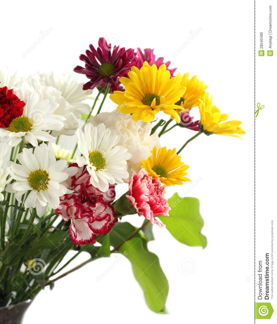 Colorful Flower Bouquet Royalty Free Stock Image   Image  28540486