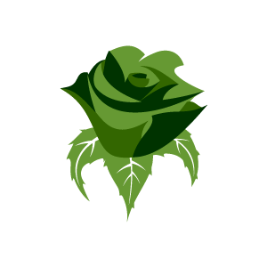 Green Rose Background Clipart   Green Rose With