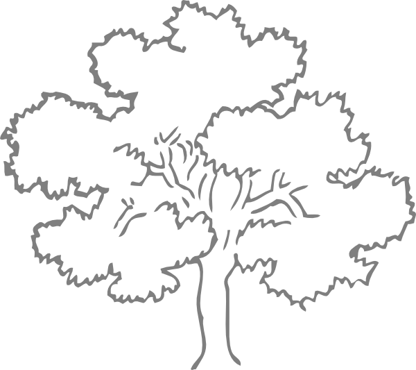 Grey Oak Tree Clip Art At Clker Com   Vector Clip Art Online Royalty