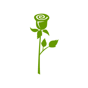 Of Flower Clipart   Green Cute Lonely Rose With White Background