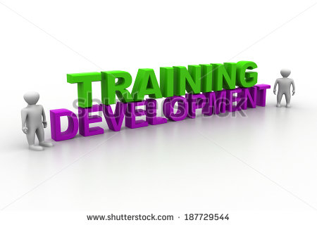 Training   Development Concept   Stock Photo