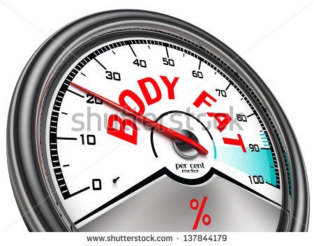 Body Fat Conceptual Indicator Isolated On White Background   Stock    