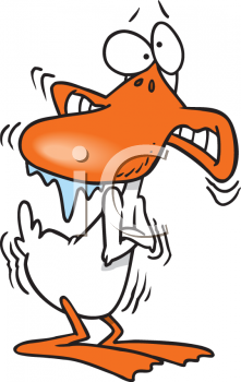 Cartoon Of A Cold Duck Shivering With Ice On His Beak Clipart Image